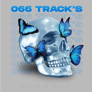 066 TRACK'S