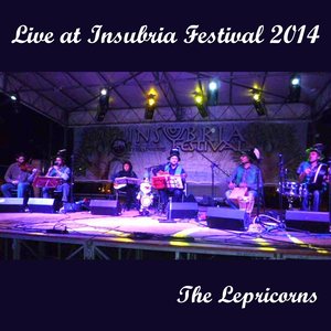 Live at Insubria Festival 2014