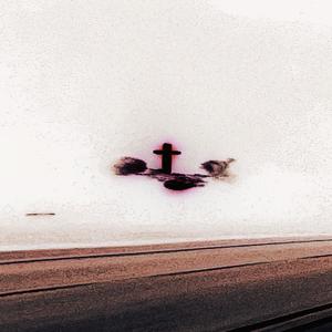 ange1.dus+ (Explicit)