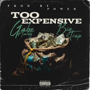 Too Expensive (feat. Big Trap) [Explicit]