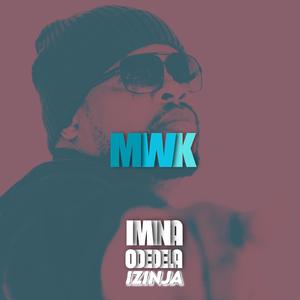 Imina Odedela Izinja (Radio Edit)