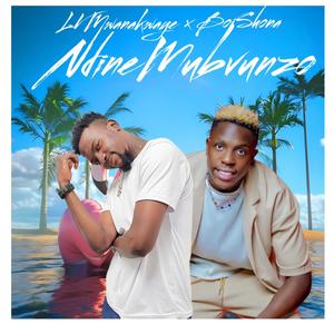 Ndine Mubvunzo (feat. Boi Shona)