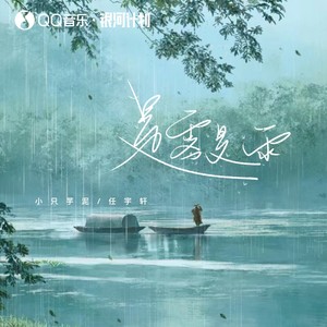 是雾是雨