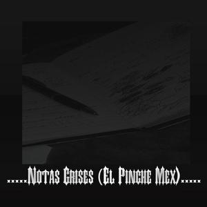 Notas Grises (feat. Mex Fam) [Explicit]