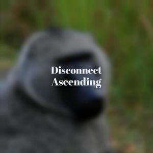 Disconnect Ascending