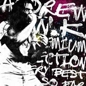 Andrew W.K. - Fun Night