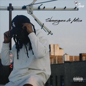 Shenanigans & Antics (Explicit)