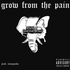 Grow from the Pain (Explicit)