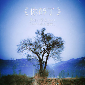 你醉了