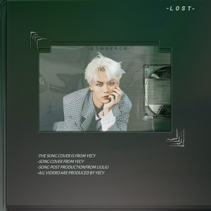 在飞翔与迷失之间