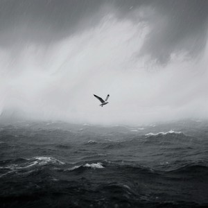 开着车听悲伤的情歌