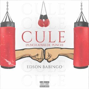 CULE (feat. ADDY KILLA & PIR RECORDZ) (Explicit)
