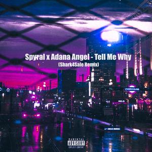Tell Me Why (Shark4Sale Remix|Explicit)