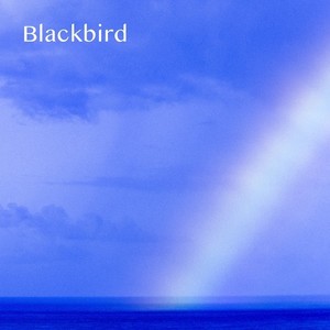 Blackbird (Cover)