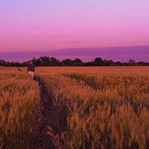 System Kontroli (Speed Up)