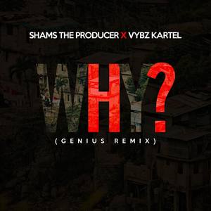 Why(Genius Remix)