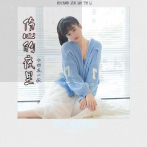 伤心的夜里