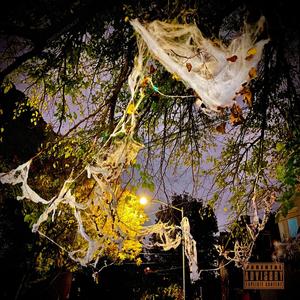 Dangerous (feat. Grandmaster Shogun & P-Trill) (Explicit)