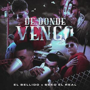 De Donde Vengo (feat. Seko El Real)