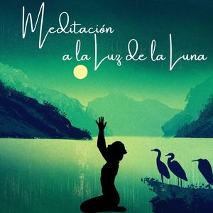 Meditación a la Luz de la Luna: Música Suave para la Meditación de la Tarde