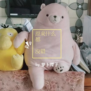 原来什么都没错