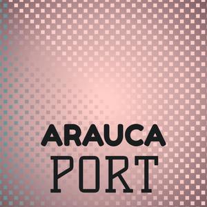 Arauca Port