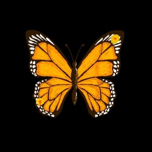 she wanna (Explicit)