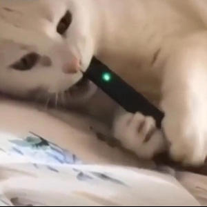 *Sighs in melody* (Explicit)