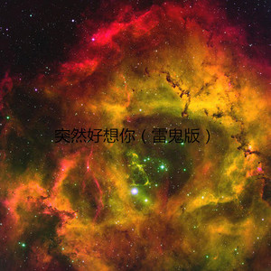 苦橙 (雷鬼版)