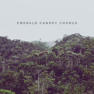 Emerald Canopy Chorus