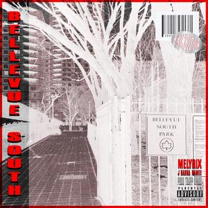 Bellevue South (feat. Namiii & J Banna) (Explicit)