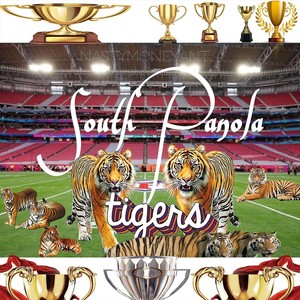 South Panola Tigers