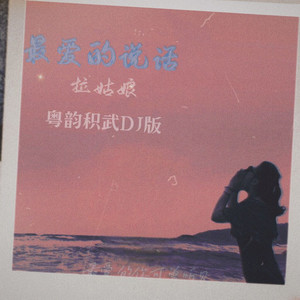 最爱的说话（粤韵积武DJ） (Remix)