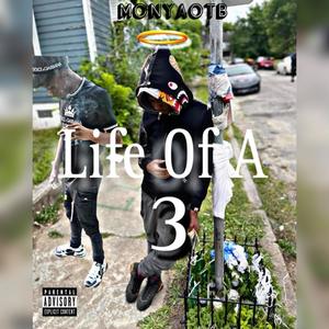 Life Of A 3 (Explicit)