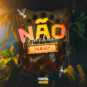 Não Machuca (Remix)
