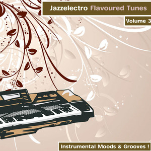 Jazzelectro Flavoured Tunes Vol. 3 - Instrumental Moods & Grooves!