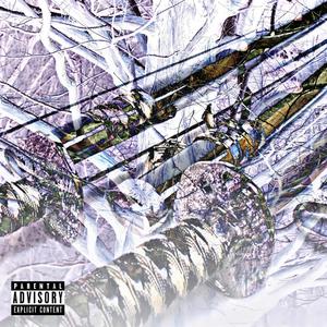 shawty wrld (Explicit)