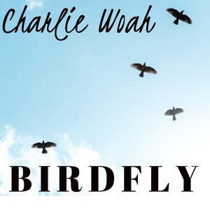 BIRDFLY (Explicit)