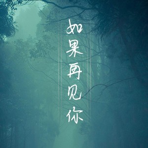如果再见你 (伴奏)