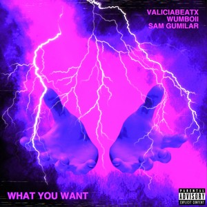 What You Want(feat. Sam Gumilar) (Explicit)