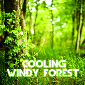 Cooling Windy Forest