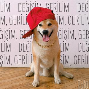 Değişim, Gerilim (Explicit)