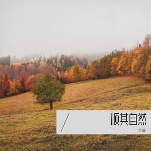 顺其自然 (伴奏)