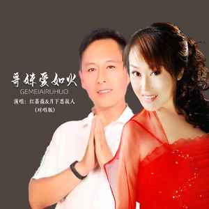 哥妹爱如火 (对唱版)封面