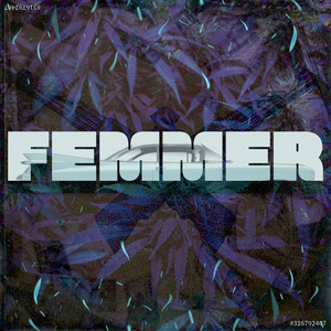 FEMMER (Explicit)