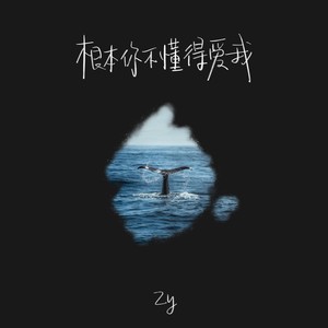 Zy - 根本你不懂得爱我 (Zy版)