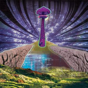 Wtf is this (Bonus Track)