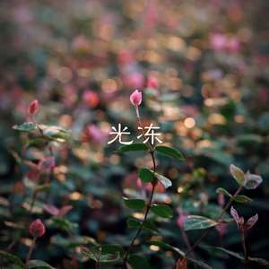 回家的诱惑 (DJ版)