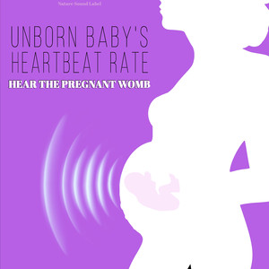 Unborn Baby's Heartbeat Rate Hear the Pregnant Womb