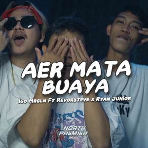 AER MATA BUAYA - DISCO TANAH